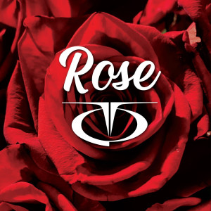 Listen to Rose song with lyrics from TQ
