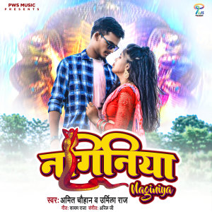 Listen to Naginiya song with lyrics from Amit Chauhan