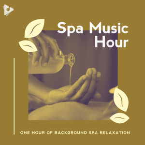 อัลบัม 1 Hour of Background Spa Relaxation ศิลปิน Spa Music Hour