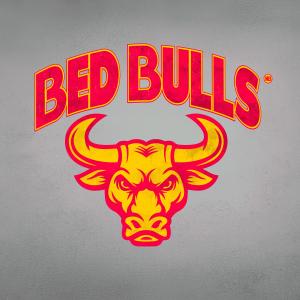 อัลบัม Hardstyle (BedBulls 2024) ศิลปิน Brox