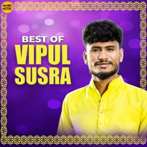 Listen to Halgatu Ghar Bhade Lidhu song with lyrics from Vipul Susra