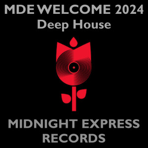 Various Artists的專輯Welcome 2024 Deep House house