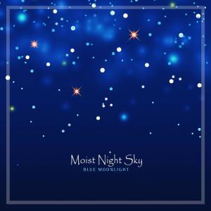Album Moist Night Sky from Blue Moonlight