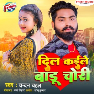 Chandan Chahal的專輯Dil Kaile Badu Chori