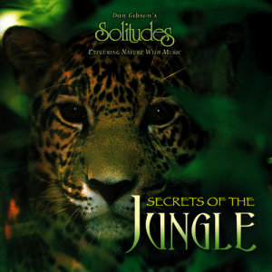 ดาวน์โหลดและฟังเพลง Dawn at Drake Bay พร้อมเนื้อเพลงจาก Dan Gibson's Solitudes