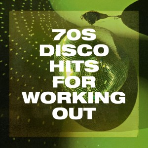 อัลบัม 70S Disco Hits for Working Out ศิลปิน Disco Brothers