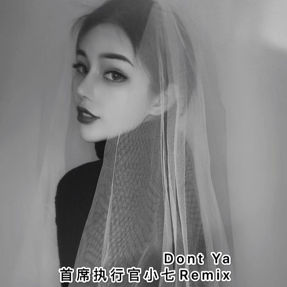 Dont Ya (抖音越南鼓)