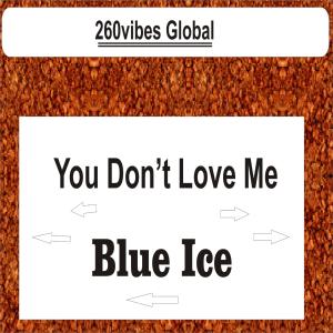 Listen to You Don't Love Me (Explicit) song with lyrics from Blue Ice