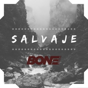 ดาวน์โหลดและฟังเพลง Salvaje พร้อมเนื้อเพลงจาก Bone GDS