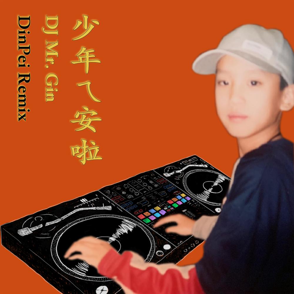 DJ MR. GIN - 少年ㄟ安啦 (DinPei Remix)