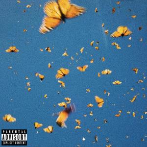 ดาวน์โหลดและฟังเพลง Butterflies (Explicit) พร้อมเนื้อเพลงจาก Kovan