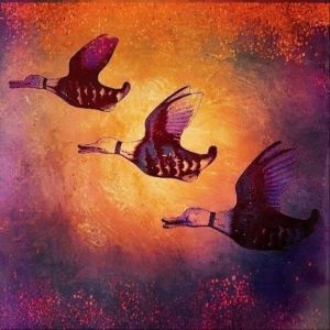 Album Life Is Better With Ducks from Lemonade Kid