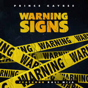 Prince Kaybee的專輯Warning Signs