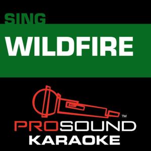 ดาวน์โหลดและฟังเพลง Wildfire  [In the Style of John Mayer] (Karaoke Instrumental Track) พร้อมเนื้อเพลงจาก ProSound Karaoke Band
