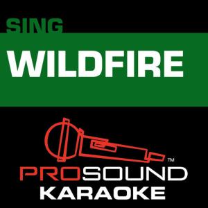 ดาวน์โหลดและฟังเพลง Wildfire (Karaoke Lead Vocal Demo) พร้อมเนื้อเพลงจาก ProSound Karaoke Band