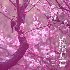 Album 锦绣迎春 (翻唱) from M-Girls