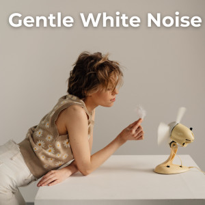 The White Noise Travelers的專輯Gentle White Noise
