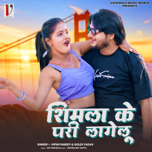 Album Shimla Ke Pari Lagegu from 