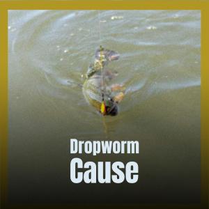 Album Dropworm Cause from Various