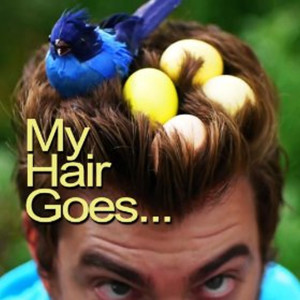 ดาวน์โหลดและฟังเพลง My Hair Goes... พร้อมเนื้อเพลงจาก Rhett and Link