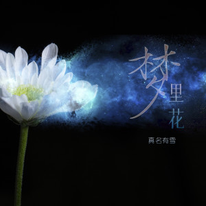 真名有雪的专辑梦里花