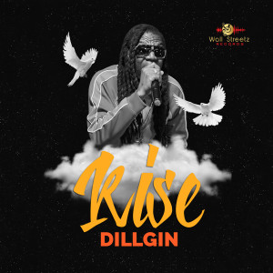 收聽Dillgin的Rise歌詞歌曲
