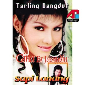 收聽Gina Er Jaenudin的Sapi Lanang歌詞歌曲
