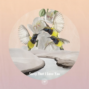 Dengarkan Sorry That I Love You (其他) lagu dari AmPm dengan lirik