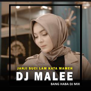 Album DJ Malee (Remix Aceh) oleh Nurul Munira