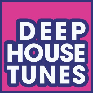 Dengarkan Fly to Me (Fashion Effect Mix) lagu dari Absolute Groove dengan lirik