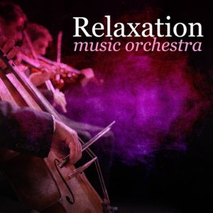 收聽Northern String Quartet的Le quattro stagioni, Concerto No. 1 in E Major, Op. 8, RV 269 "Spring" : III. Allegro pastorale歌詞歌曲