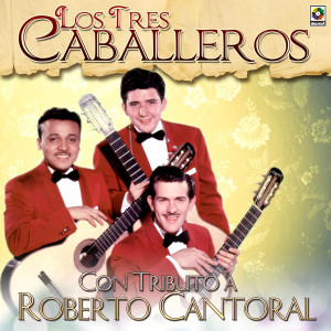 收聽Los Tres Caballeros的Volveré A Buscarte歌詞歌曲