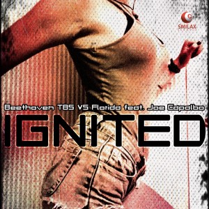 ดาวน์โหลดและฟังเพลง Ignited (Extended Mix) พร้อมเนื้อเพลงจาก Beethoven TBS