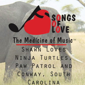 ดาวน์โหลดและฟังเพลง Shawn Loves Ninja Turtles, Paw Patrol and Conway, South Carolina พร้อมเนื้อเพลงจาก C. Allocco