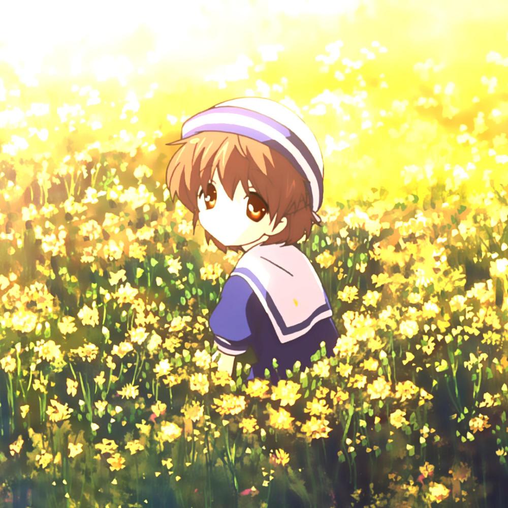 ///canola///