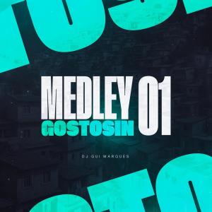 Listen to MEDLEY GOSTOSIN 01 (Explicit) song with lyrics from Dj Gui Marques