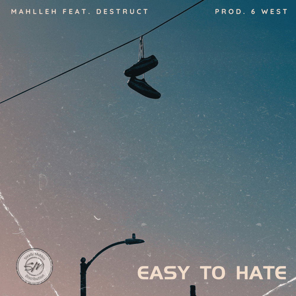 Easy To Hate (Explicit)