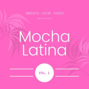 Various Artists的專輯Mocha Latina (Smooth Latin Tunes), Vol. 1 (Explicit)