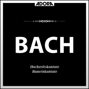 Ursula Buckel的專輯Bach: Hochzeitskantate No. 202, Bauernkantate No. 212