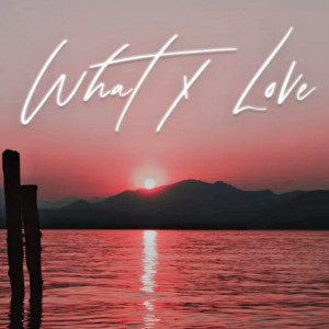 Dengarkan What X Love lagu dari Tom$ dengan lirik