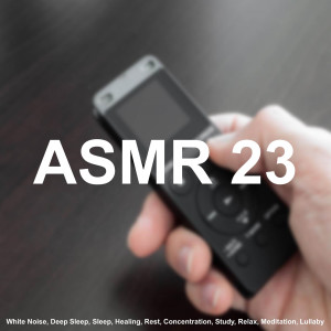 Album ASMR 23 - Burning Firewood Sound (White Noise, Deep Sleep, Sleep, Healing, Rest, Concentration, Study, Relax, Meditation, Lullaby) from Asmr