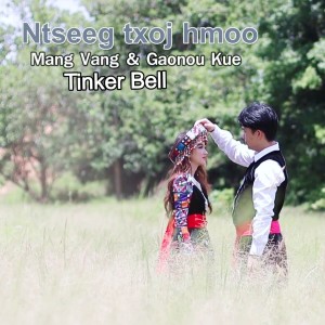 Listen to Ntseeg txoj hmoo (伴奏) song with lyrics from Gao Npu kue