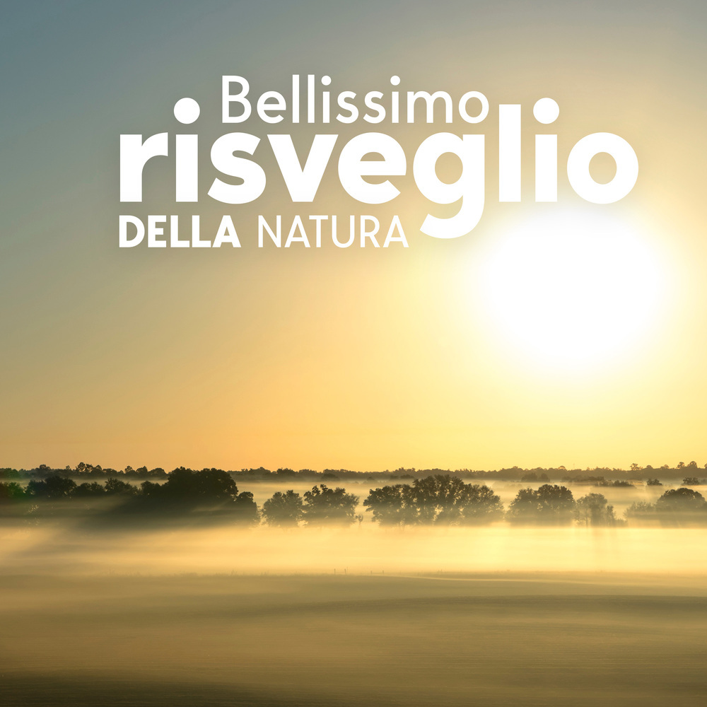 Trovare la propria direzione