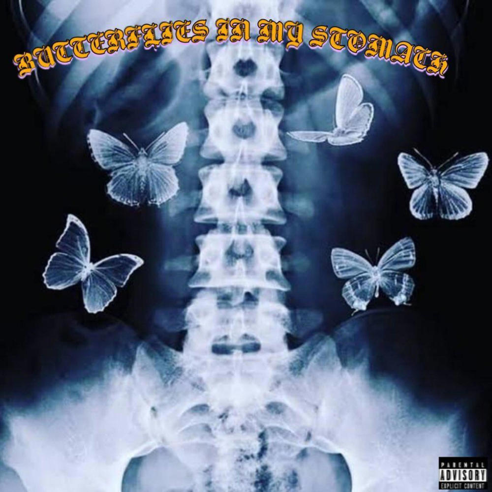 Butterflies in my Stomach (feat. spiritrealm) (Explicit)