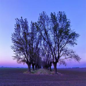 ดาวน์โหลดและฟังเพลง Segunda Fase พร้อมเนื้อเพลงจาก Marcelo Vizzarri