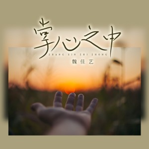 Listen to 掌心之中（DJ沈念舞动版） (完整版) song with lyrics from 魏佳艺