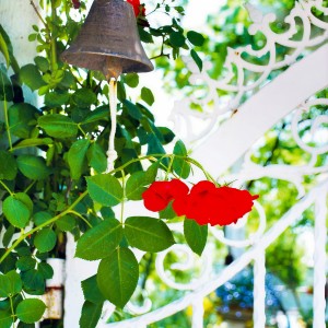 Listen to Neighbor's Garden (完整版) song with lyrics from 羽肿