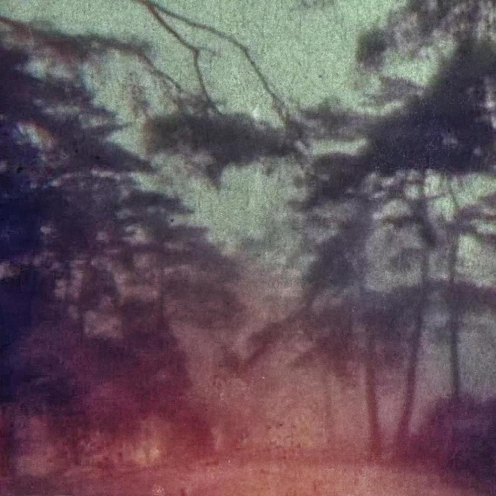You'll Fade