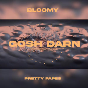 Pretty Pape$的专辑Gosh Darn (feat. Pretty Pape$) (Explicit)