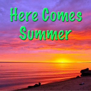ดาวน์โหลดและฟังเพลง Summer Days พร้อมเนื้อเพลงจาก Roger Whittaker